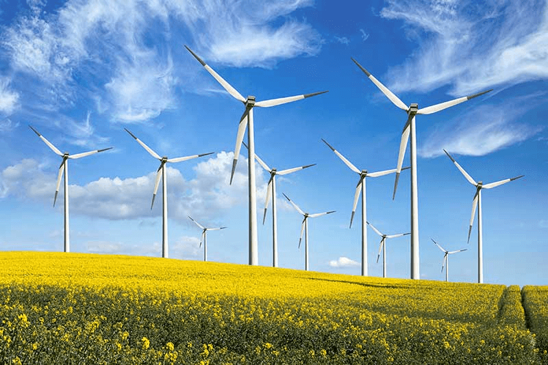 A wind farm; electricity generation is part of Critical National Infrastructure